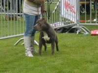 /album/show-prijzen-boebus/dscn0503-jpg/