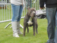 /album/show-prijzen-boebus/dscn0504-jpg/