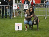 /album/show-prijzen-boebus/dscn0521-jpg/