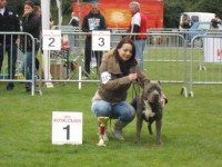 /album/show-prijzen-boebus/dscn0522-jpg/