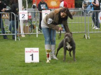 /album/show-prijzen-boebus/dscn0523-jpg/